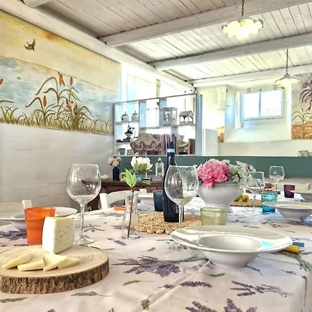 Antico Casolare Piscina Giardino Relax Bbq Villa